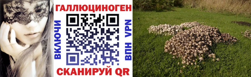 Галлюциногенные грибы Magic Shrooms  Тейково 